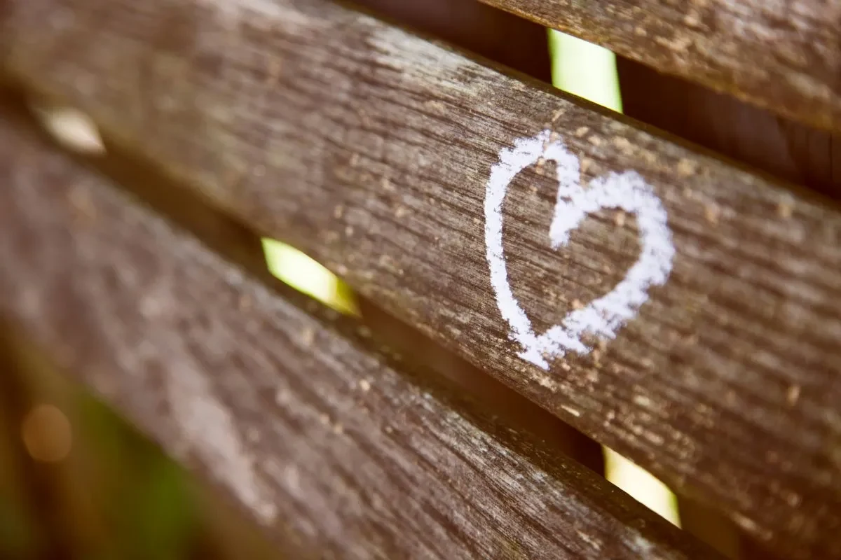 Dating After Divorce: How to Find a Healthy Relationship Again